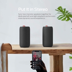 Loa Monster S310 Superstar