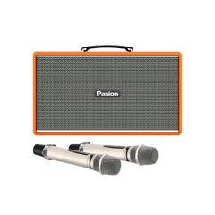 Loa Paramax Pasion Enzo