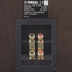 Loa Yamaha NS-F700