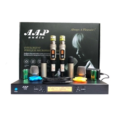 Micro AAP S 700