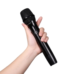 Micro Alpha Works D2