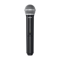 Bộ Micro Shure BLX24R/PG58