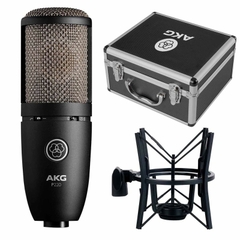 Micro AKG P220