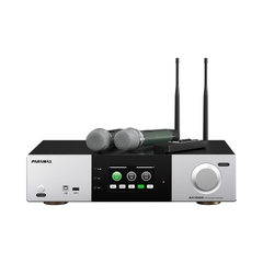 Amply Paramax AX-1000