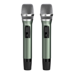 Amply Paramax AX-1000