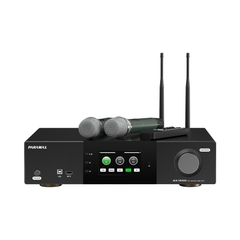 Amply Paramax AX-1000