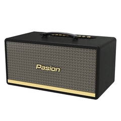 Loa Paramax Pasion 2