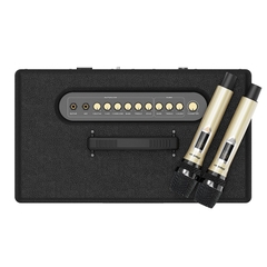 Loa Paramax Pasion 2