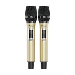 Loa Paramax Pasion 2