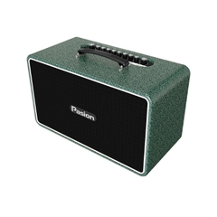 Loa Paramax Pasion Arte