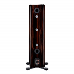 Loa Monitor Platinum 300 3G