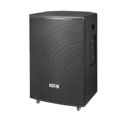 Loa kéo SONCAMEDIA 18S2