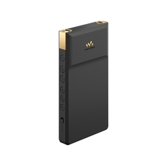 Máy nghe nhạc Sony Walkman NW-ZX707