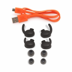 Tai nghe JBL Everest 110GA