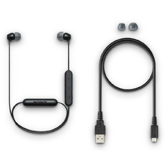Tai nghe Sony WI-C300