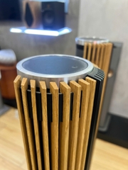 Loa Bang & Olufsen Beolab 28 Likenew