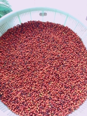 TIÊU SỌ VÀ TIÊU CHÍN (250g) - PALfood