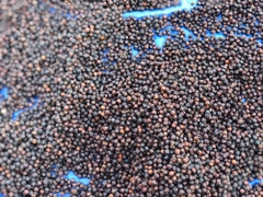 TIÊU SỌ VÀ TIÊU CHÍN (250g) - PALfood