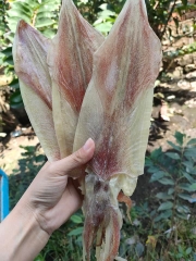 KHÔ MỰC 14-18 CON/1KG (500g) - PALfood