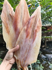 KHÔ MỰC CÂU 8-12 CON/1KG (500g) - PALfood