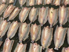 CÁ NHỒNG KHÔ 0,5KG - PALfood