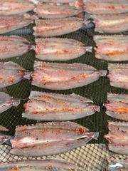 CÁ NHỒNG KHÔ 0,5KG - PALfood