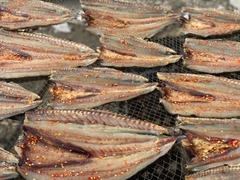 CÁ NHỒNG KHÔ 0,5KG - PALfood