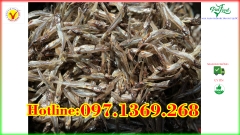 CÁ CƠM KHÔ (1Kg) - PALfood