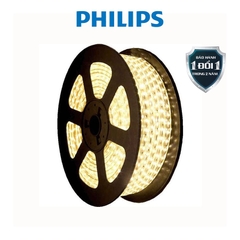 Dây đèn led trang trí ngoài trời Philips 31161 6.8w
