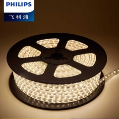 Dây đèn led trang trí ngoài trời Philips 31161 6.8w