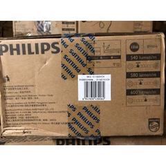 Dây đèn led trang trí ngoài trời Philips 31161 6.8w
