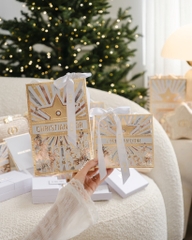 Túi hãng DIOR kèm Ruy Băng cột túi