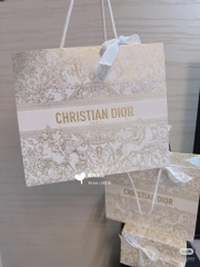 Túi hãng DIOR kèm Ruy Băng cột túi