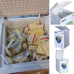 Giảm Giá Đặc Biệt Tủ Đông Trữ Thực Phẩm, Trữ Sữa Cho Bé