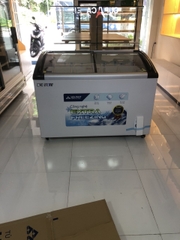 Tủ đông trưng bày Hòa Phát 1 ngăn 2 cánh HSF AD6357.C1 600L.