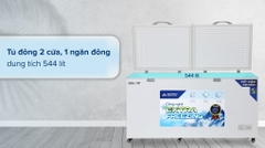 Tủ đông dung tích lớn Hòa Phát 1 ngăn 2 cánh HPF AD6544 1000L DÀN ĐỒNG