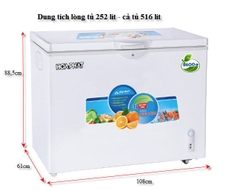 Tủ đông 252 lít 1 ngăn đông