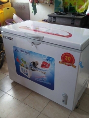 Tủ đông 252 lít 1 ngăn đông