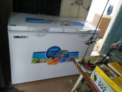 tủ đông hòa phát 656