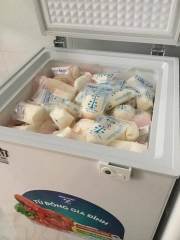 tủ đông trữ sữa bao nhiêu tiền