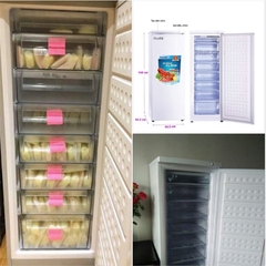 Giảm Giá Đặc Biệt Tủ Đông Trữ Thực Phẩm, Trữ Sữa Cho Bé