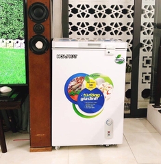 Tủ Đông 110l lít ga 600a TIẾT KIỆM ĐIỆN 2021