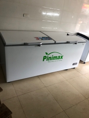 Tủ đông Pinimax sanaky PNM-89AF dung tích 900l