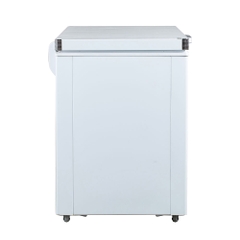 TỦ ĐÔNG BD-400