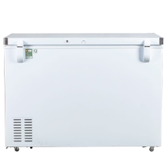 TỦ ĐÔNG BD-300C