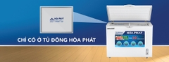 Tủ 1 ngăn đông 500l 1 cánh ( lòng sử dụng thực 252L) dài 108cm rộng 61cm