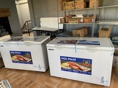 Tủ đông Hòa Phát 1 ngăn 1 chế độ đông HPF AD6352 600 lít