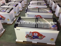 Tủ Đông kính cong 800L 1 chế độ đông 2 cánh lùa DÀN ĐỒNG tiết kiệm điện 2022