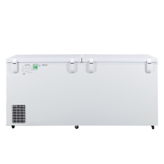 TỦ ĐÔNG HB-890