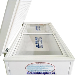 Tủ đông bán hàng Hòa Phát 300l 1 chế độ đông chính hãng